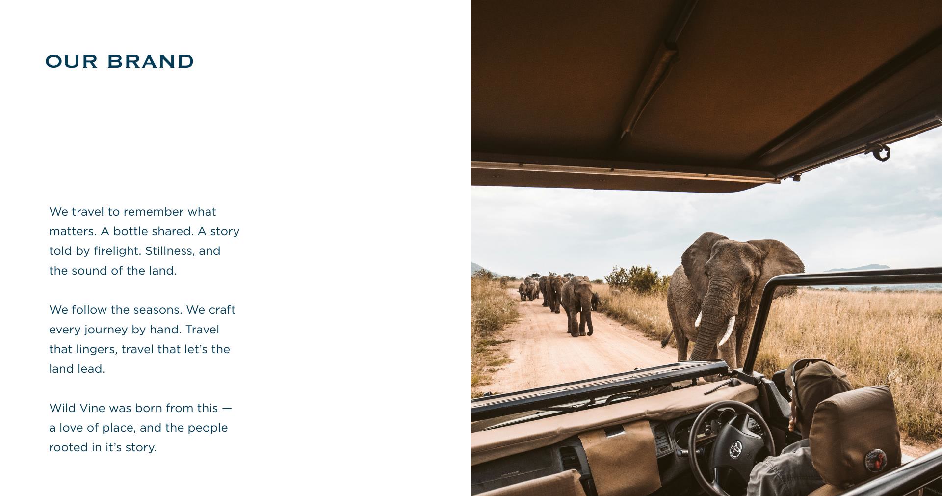 Wild Vine brand story and safari photography