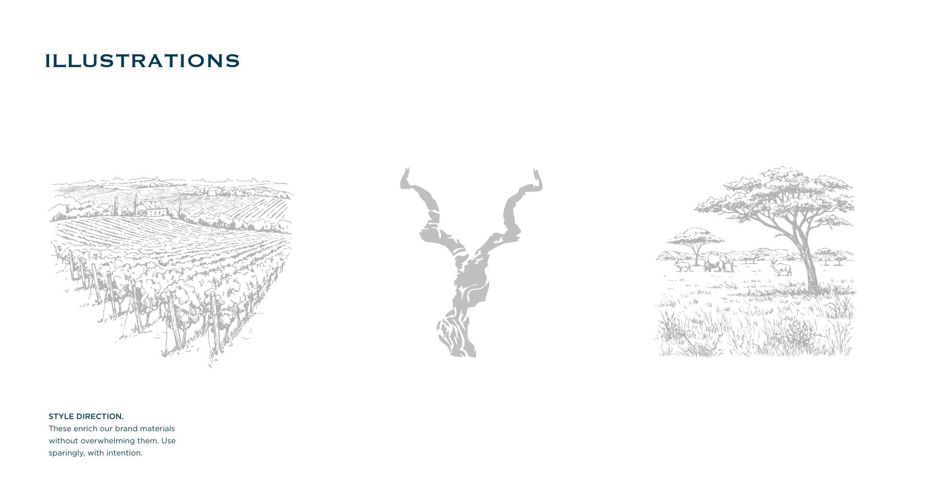 Wild Vine illustration system